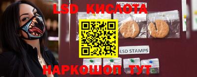 spice Владивосток