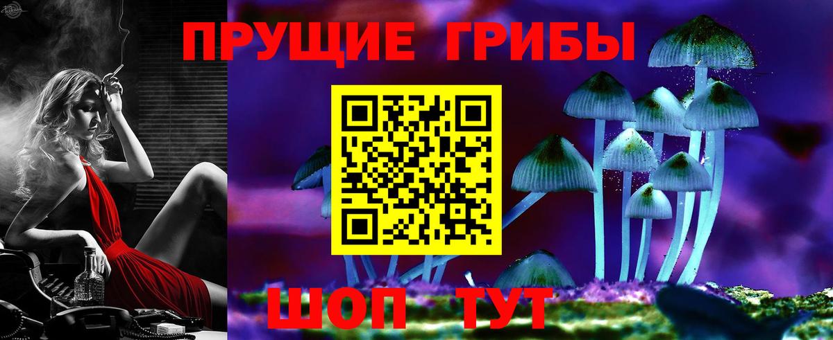 Псилоцибиновые грибы Psilocybine cubensis Верхний Уфалей